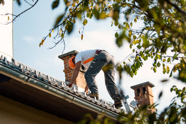 Best Roof Leak Repair  in Maroa, IL
