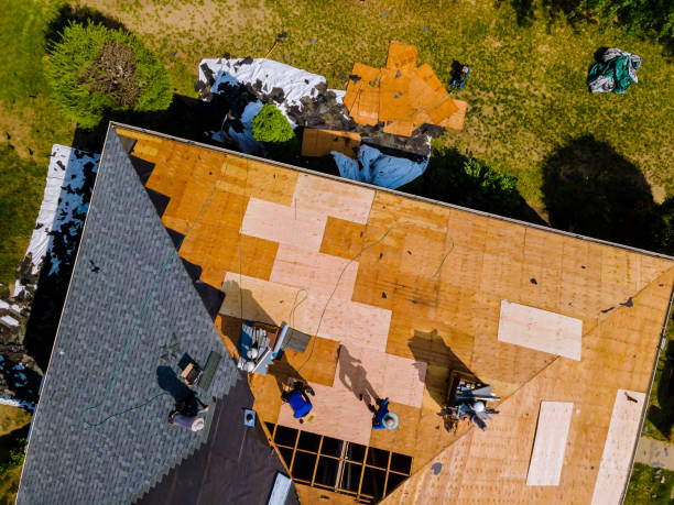 Best Commercial Roofing Services  in Maroa, IL