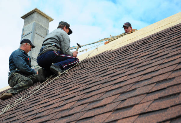 Best Roof Restoration Services  in Maroa, IL